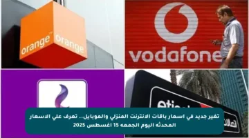 تغير جديد في أسعار باقات الإنترنت المنزلي والموبايل.. تعرف على الأسعار المحدثة اليوم الجمعة 15 أغسطس 2025